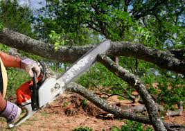  Tunkhannock, PA Tree Removal and Landscaping Services Pros